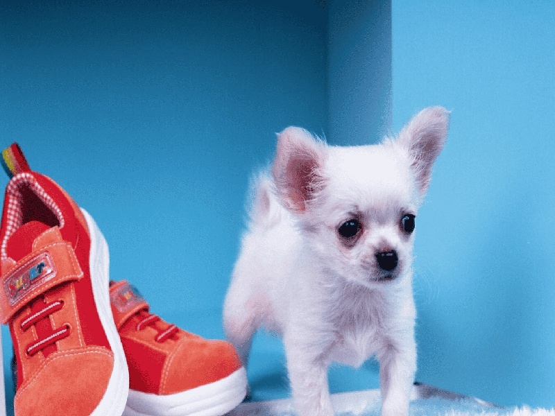 市妇幼试管费用多少（乳腺结节手术试管）