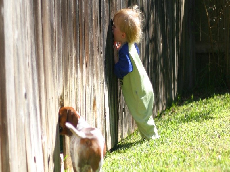 北京最靠谱的代生,代生咨询：在北京公立医院可